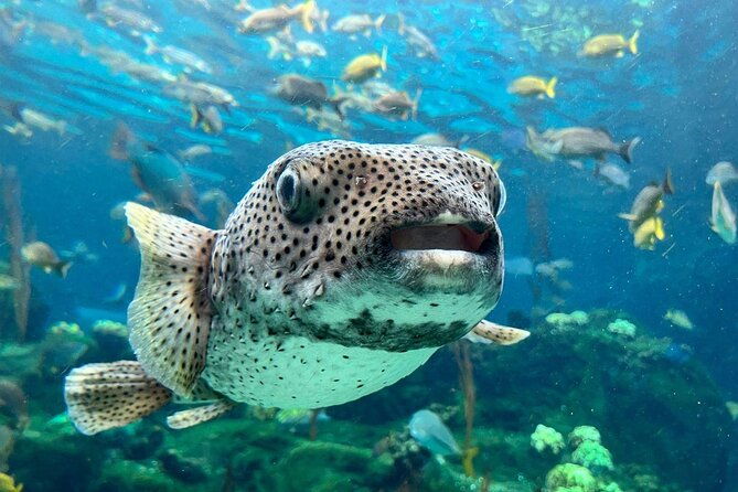 tampas-zooquarium-admission