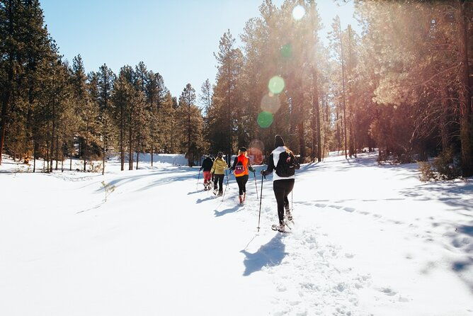 taos-backcountry-snowshoe-tour