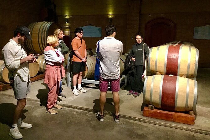 taste-10-types-of-wine-in-3-exceptional-casablancas-vineyards