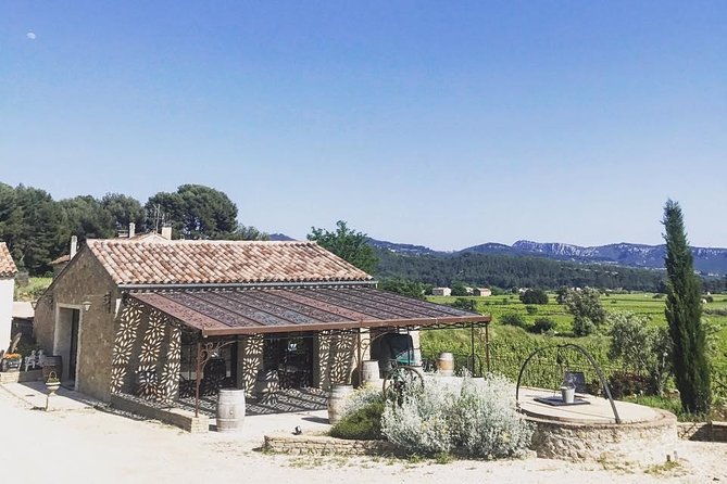 tasting-bandol-wines-visit-of-cellar-in-english