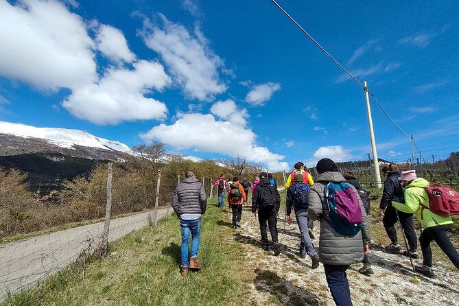 tasting-of-organic-mountain-wines-with-vineyard-and-cellar-tour