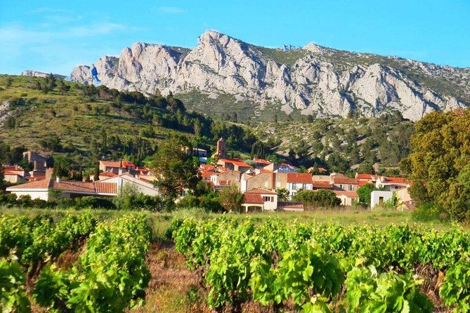 tasting-workshop-of-6-to-8-wines-with-charcuterie-chocolate-cheese