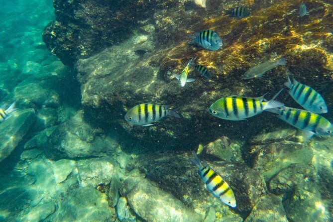 tayrona-snorkel-beach