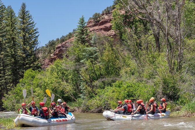 telluride-afternoon-half-day-rafting-tour-on-the-san-miguel-river