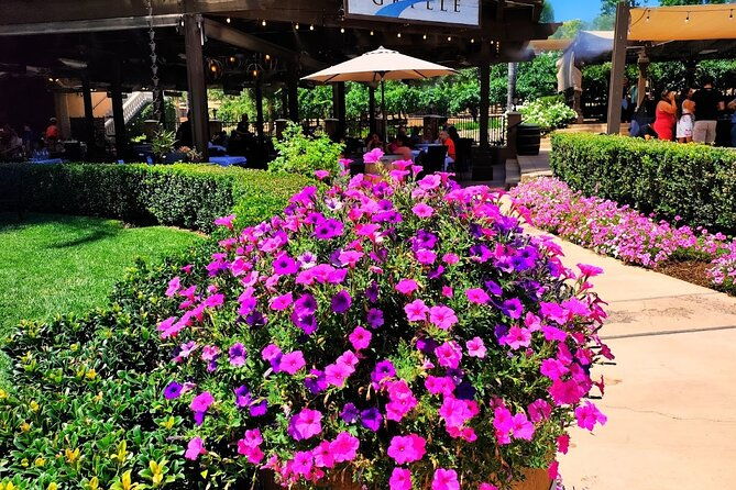 temecula-wine-tour-from-los-angeles