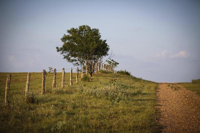 texas-hill-country-olive-oil-and-balsamic-vinegar-tasting