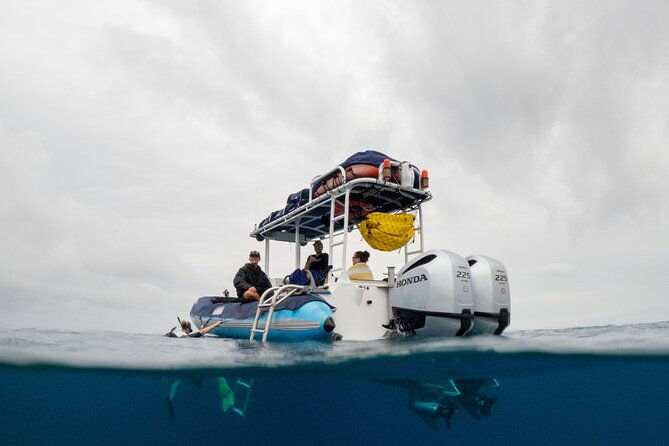 the-best-2-hour-molokini-express-snorkeling