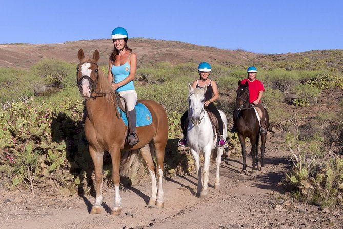 the-best-horse-riding-experience-in-gran-canaria-1-hour