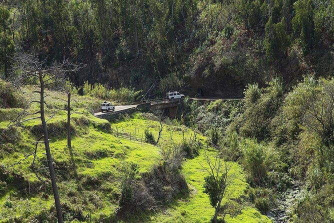 the-best-of-the-south-jeep-safari-tour-full-day