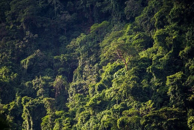 the-chocoyero-el-brujo-nature-reserve-hike-from-managua