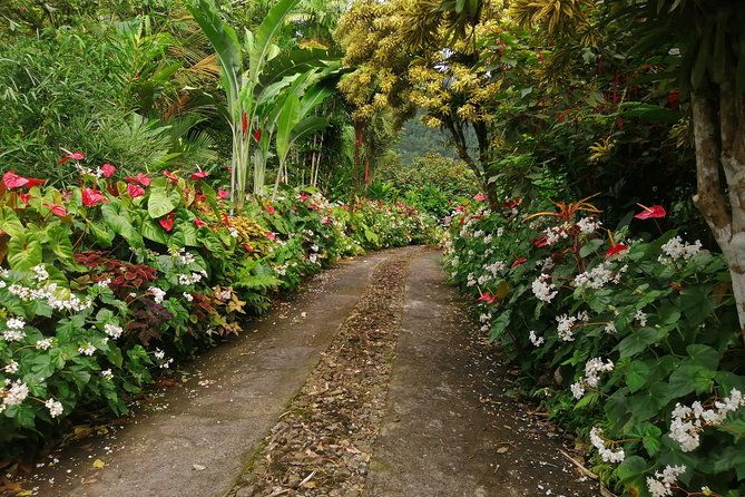the-montreal-gardens-and-beach-half-day-experience