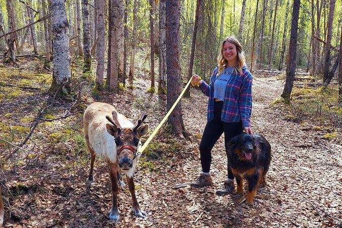the-reindeer-grove-homestead-tour-and-forage