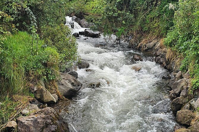 the-rejuvenating-thermal-springs-of-papallacta-private-tour