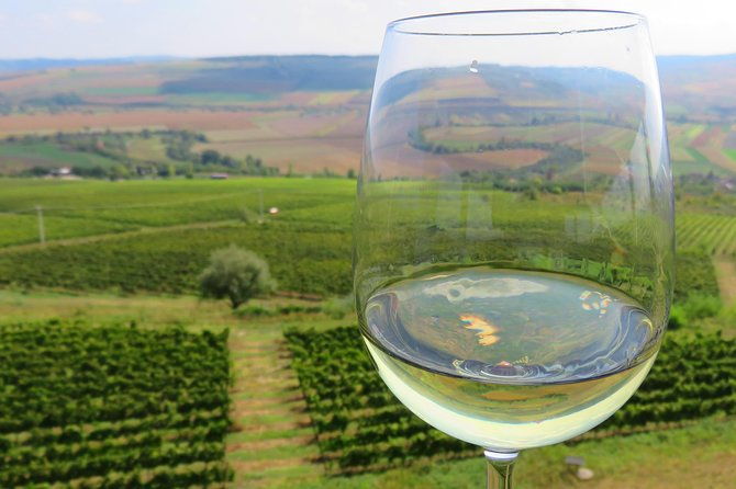 the-wine-route-by-bike