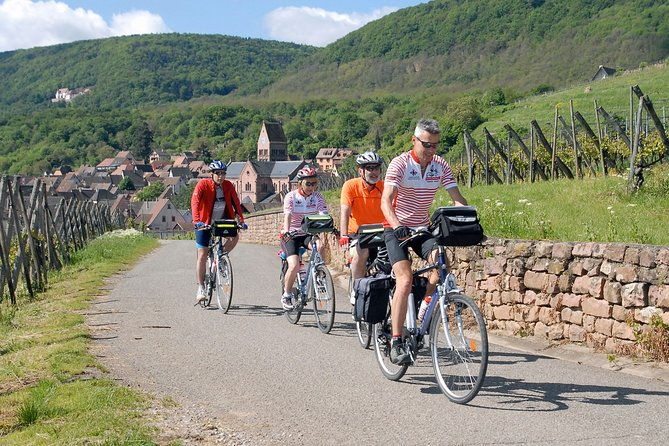 through-alsace-vineyards-and-wine-villages-private-bike-tour
