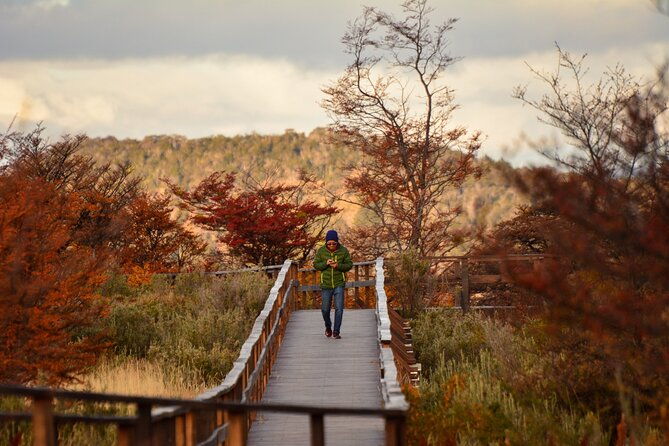 tierra-del-fuego-national-park-pm-with-dinner-included