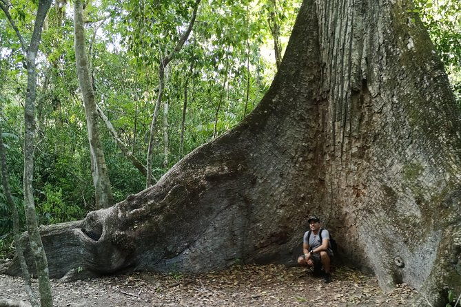 tikal-full-day-with-dedicated-exploration-of-the-archaeological-monuments
