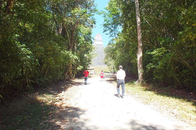 tikal-ruins-day-tour-from-flores