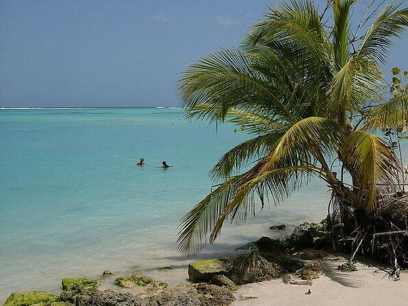 tobago-buccoo-reef-glass-bottom-boat-tour