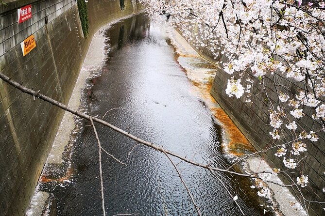 tokyo-art-and-culture-tour