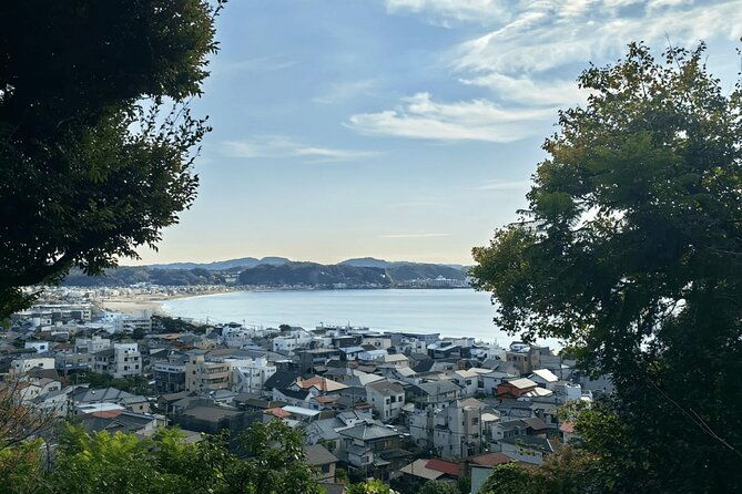 tokyo-enoshima-and-kamakura-coastal-escape-private-car-tour