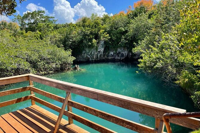 tom-moores-jungle-and-eco-tour