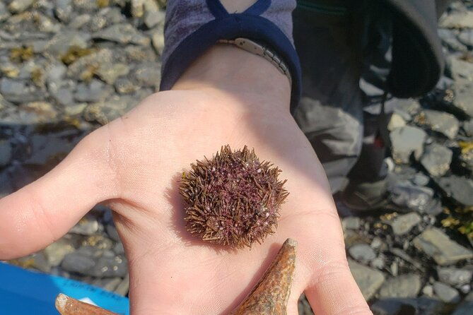 tonsina-point-kayak-in-resurrection-bay
