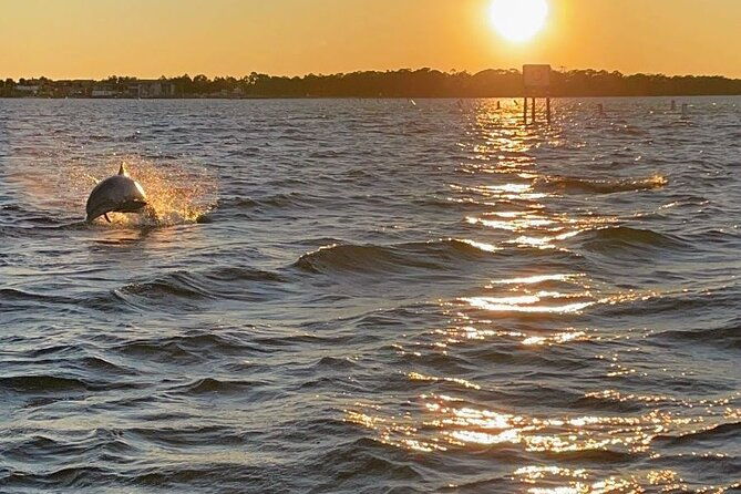 top-shelf-tikis-1-5hr-sunset-cruise