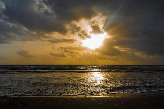 tortuguero-canoe-tour-night-jungle-tour-cerro-viewpoint-tour