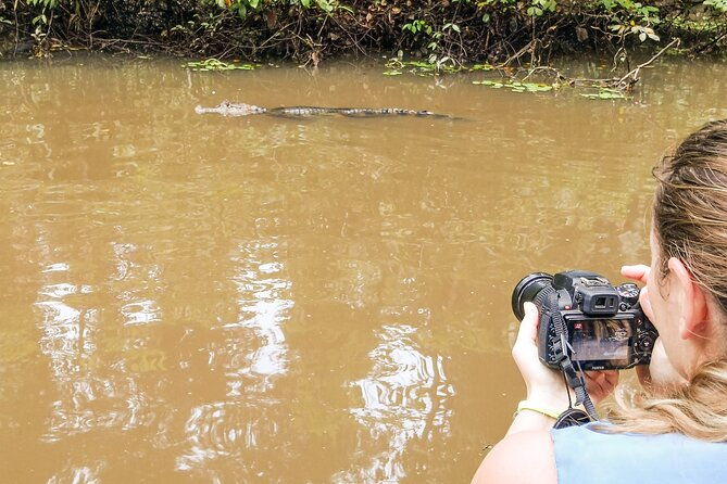 total-tortuguero-canoe-or-kayakhikenwtortugas-from-jul-oct