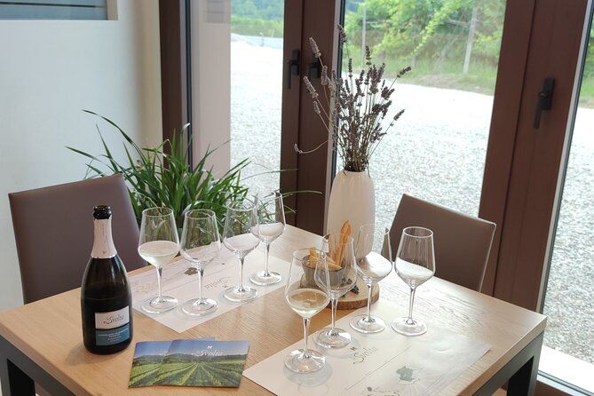tour-and-tasting-in-the-hills-of-prosecco-superiore-docg