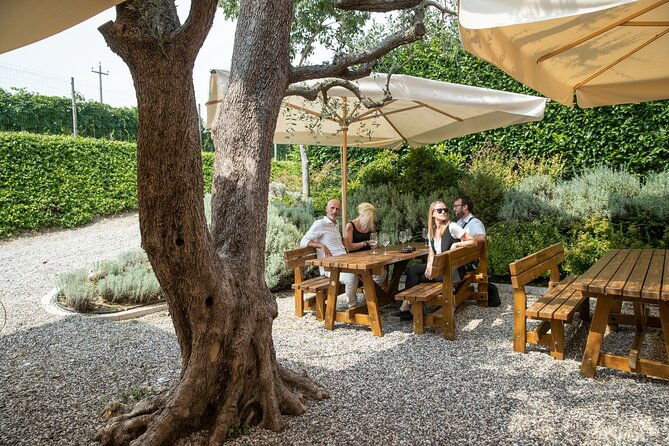 tour-and-tasting-of-organic-wines-in-lazise-2
