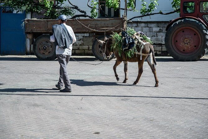 tour-around-the-lake-albania-from-ohrid