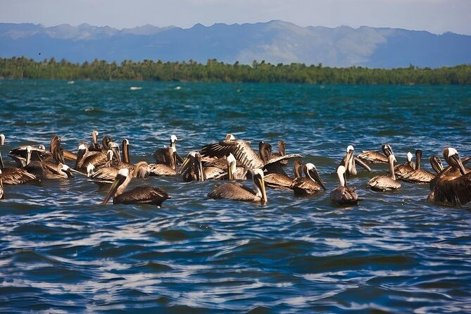 tour-of-los-haitises-montana-redonda-and-yanigua-waterfall-in-one-day