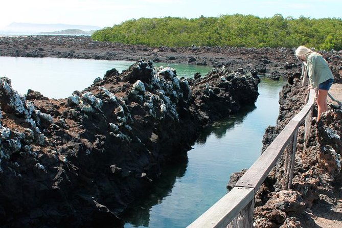 tour-of-the-city-to-isabela-tintoreras-from-santa-cruz