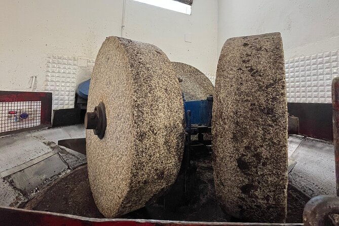 tour-of-the-oil-mill-with-tasting