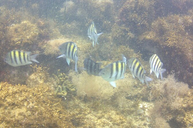 tour-to-bombinhas-with-snorkeling-experience