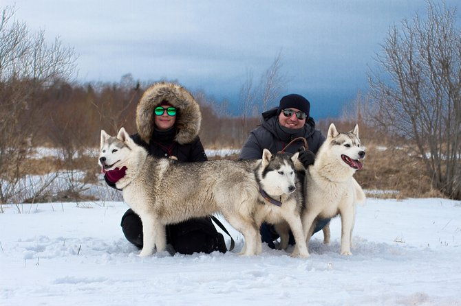 tour-to-husky-park-with-cani-cross-hike