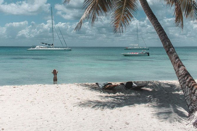 tour-to-saona-island