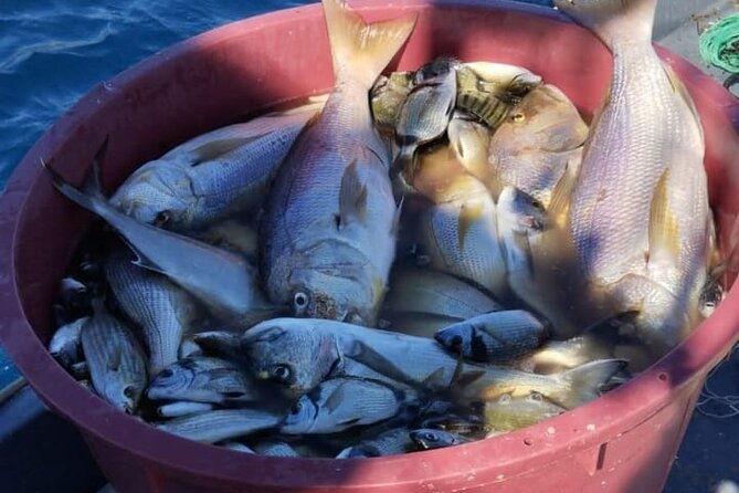 traditional-mengo-fishing-fish-picnic-hvar
