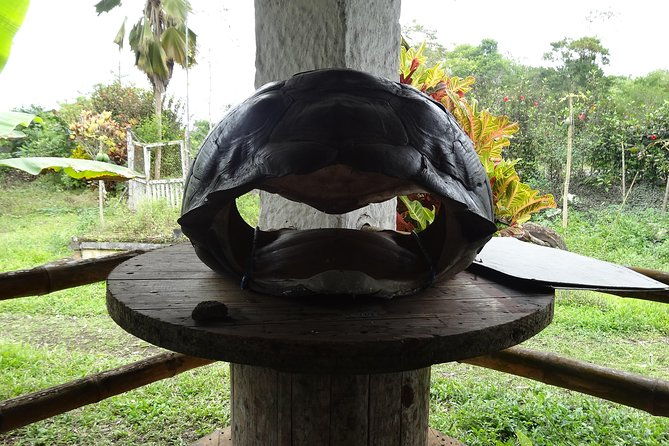transfer-in-visit-to-the-giant-turtle-nature-reserve