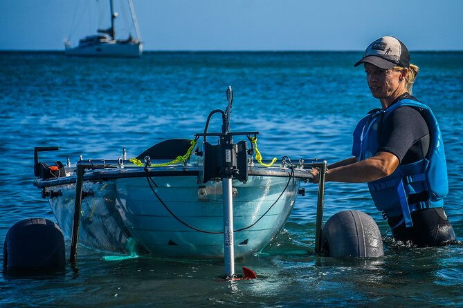 transparent-electric-kayaks-with-guide