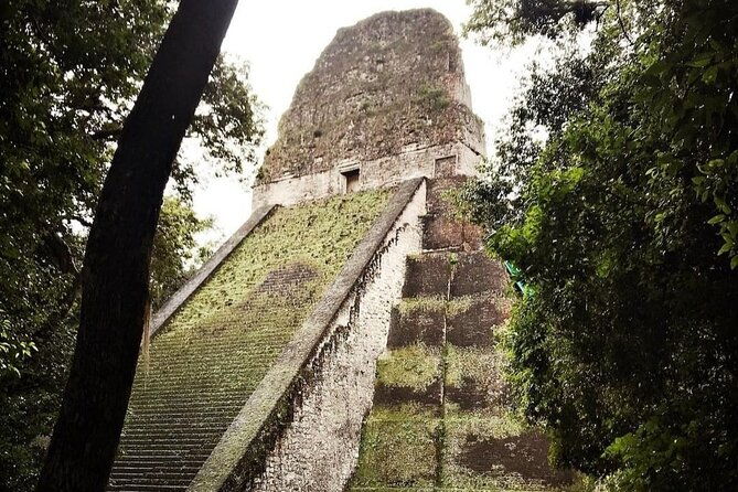 transportation-from-belize-city-to-flores-tikal-guatemala