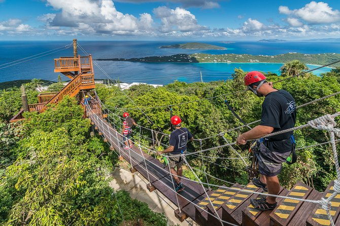 tree-limin-extreme-zipline