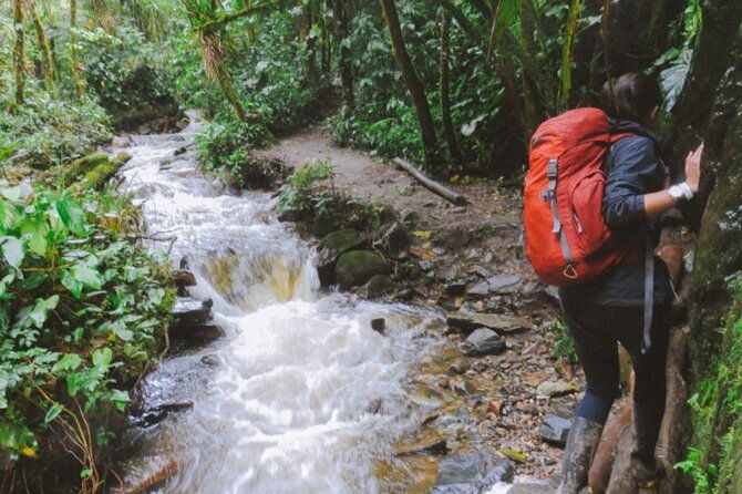 trekking-hiking-in-cocora-valley-from-pereira-or-armenia