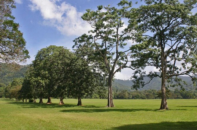 trinidad-highlights-and-scenic-drive-tour