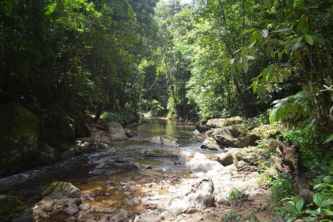 trinidad-rainforest-hike-to-waterfall