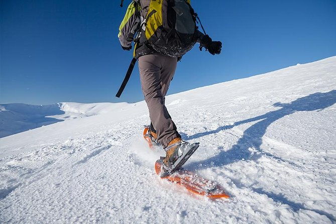 tromso-guided-snowshoe-trip