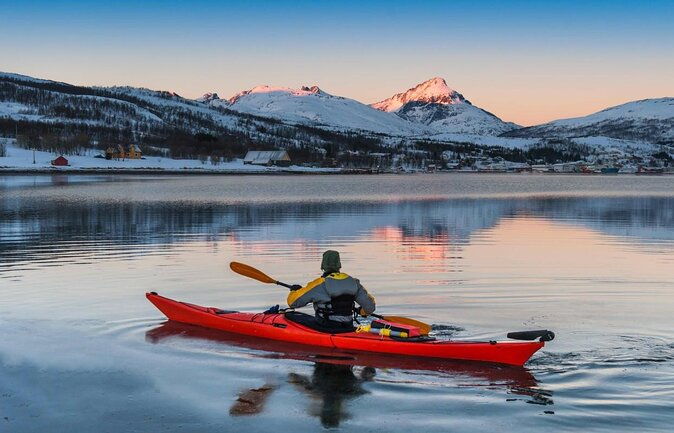 tromso-northern-lights-and-wilderness-evening-catamaran-cruise