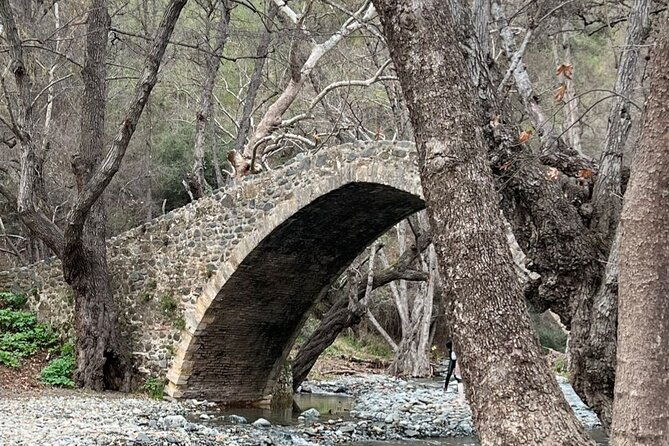 troodos-mountains-jeep-tour-with-wine-tasting-2